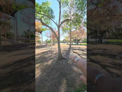 Paul Meyer Park in Spring Valley, Las Vegas. video thumbnail